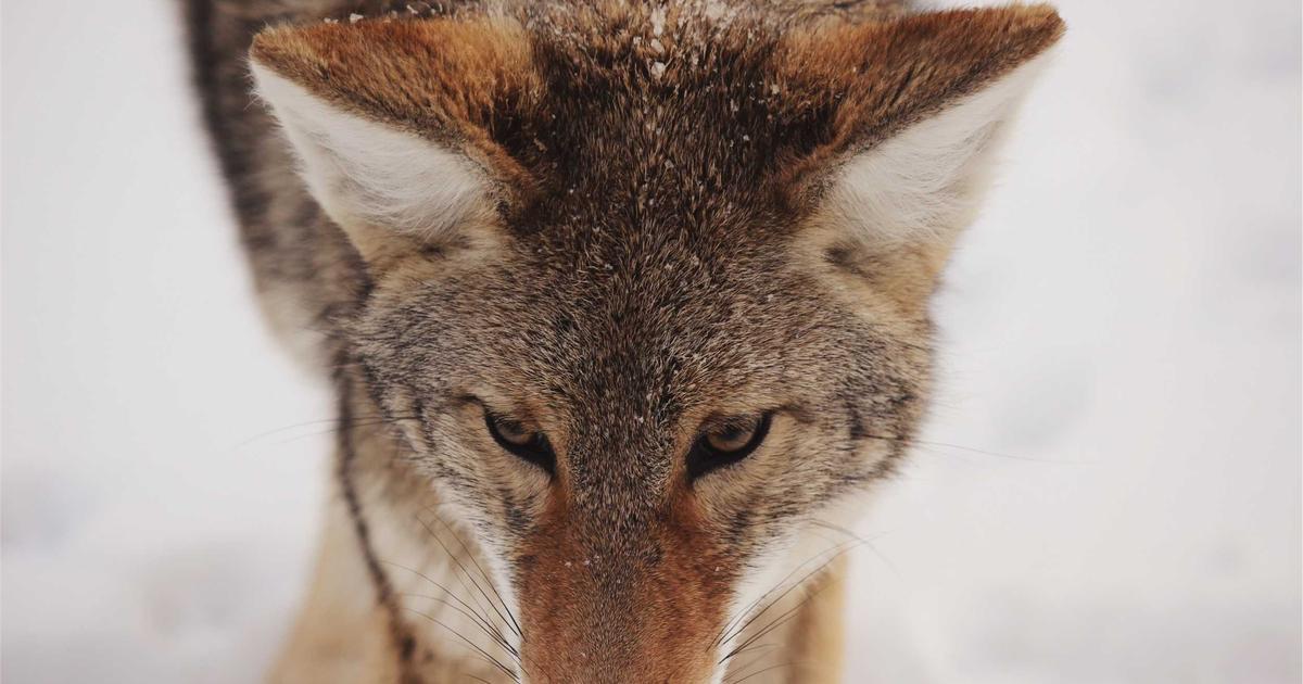 Geceperisi Rehberi rehberi: Mersin’de Escort ile Keyifli ve Gizlilik Odaklı Anlar